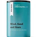 High School Study Guide eBook by BrightSummaries – 26 Page Review-0