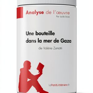 French Study Guide for Kindle - lePetitLitteraire.fr-0