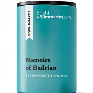 BrightSummaries.com Kindle Edition Study Guide for High School-0